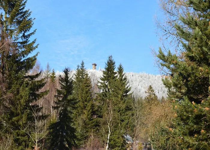 Domek Izery