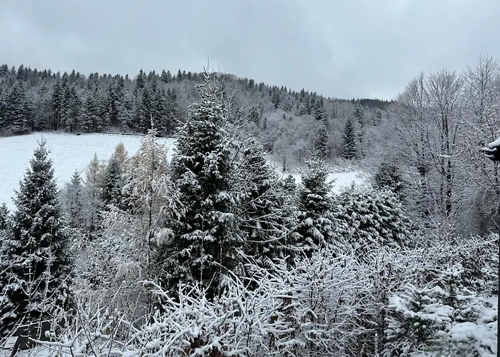 Malinowy Zakątek