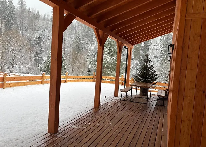 Gościejówka na skraju lasu