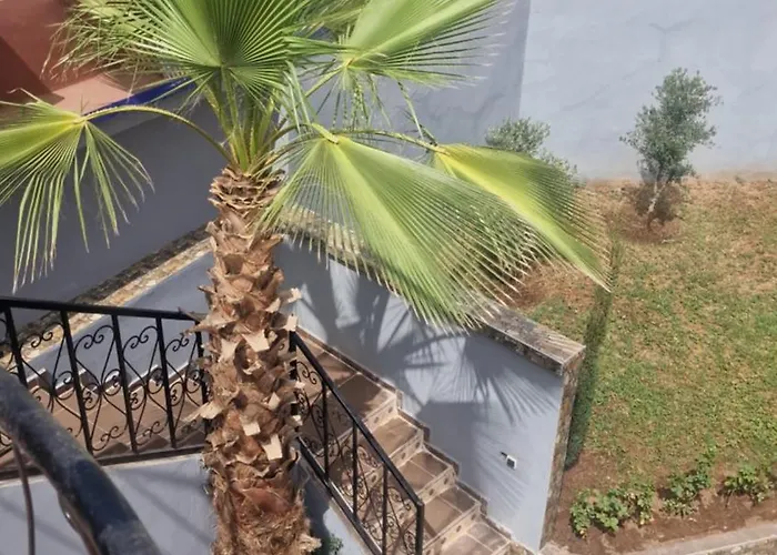 Villa Marrakech Des Cedres